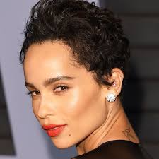 20 stunning looks with pixie cut for round face. 20 Screenshot Worthy Pixie Cuts For Curly Hair