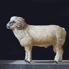 Our top picks lowest price first star rating and price top reviewed. Patricia Traub Rambouillet Ram Oil On Panel 12 X 12 Animal Paintings Goat Art Ceramic Animals