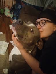 Which DNA test do you all recommend?