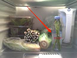 Maybe you would like to learn more about one of these? How To Store Vegetables