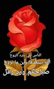ريحان وفل وزقفة للكل rayhan w fe. ØµØ¨Ø§Ø­ÙƒÙ… ÙˆØ±Ø¯ ÙˆÙÙ„
