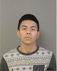 ᐅ Illinois Criminal Records 2009-2026