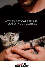 Baking soda is a powerful odor reduction that neutralizes strong smells and removes stains. How To Get Cat Pee Smell Out Of Your Clothes Cat Pee Smell Cat Pee Smell Removal Pee Smell