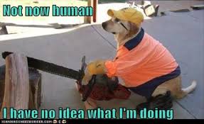 I Have No Idea What I M Doing Meme 23 Dump A Day
