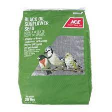 Ace Songbird Black Oil Sunflower Seed Wild Bird Food 20 Lb Black Oil Sunflower Seeds Black Oil Sunflower Seeds