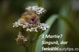 Mesaje sms uri si felicitari de 1 martie pentru mama iubita sora si sefa. Poze DrÄƒguÈ›e De 1 Martie