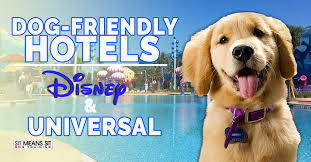 4 paws pet resort is pleased to provide you with our policies and important information that can simplify the process of caring for your pet. Orlando Dog Friendly Hotels Near Disney Universal Sit Means Sit Orlando
