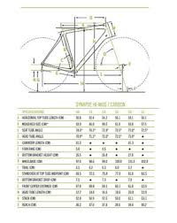 Cannondale Synapse Frame Size Chart Lajulak Org