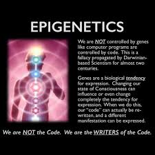 The Biology Of Belief Bruce Lipton Biology Of Belief Epigenetics Spirit Science