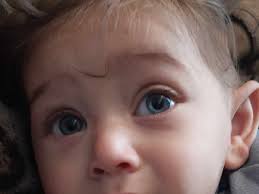 Fundraiser by Muath J A Salem : Please help my family in the Nord of Gaza  to escape from war