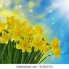 Praise to the city of flowers and sunshine! 1