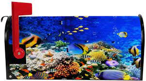 10 best aquarium coral decorations of july 2021. Great Selection Quick Delivery My Daily Magnetic Mailbox Cover Sea Fish Coral Ocean Decorative Mailwraps Mailbox Post Cover Standard Size Stadium Giveaways Petrolepage Com
