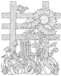 Sunflower Pumpkin Patch Coloring Page Sunflower Coloring Pages Fall Coloring Pages Pumpkin Coloring Pages