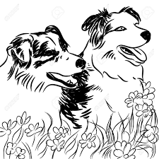 Black And White Collie Dog Drawing Pin By Theresa Wolf On Border Collies Border Collie Dog Dog Clip Art Dog Outline