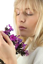 Parfum En Bouquet PNG Images