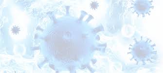 Human papillomavirus (hpv) tests are primarily used to screen for cervical cancer and/or identify women who may be at increased risk of cervical cancer.there are over 150 types of hpv including. Alles Zu Hpv Hpv Test Und Krebsvorsorge Trustyourgyn