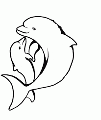 Delphin Malvorlage Ausmalbilder Für Kinder Ngretc