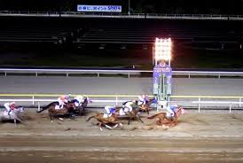 2014年3月19日 船橋競馬場 メインレース ダイオライト記念（jpn２） 予想馬柱 cyberlink powerdirector 10 から. ãƒ€ã‚¤ã‚ªãƒ©ã‚¤ãƒˆè¨˜å¿µ2020 äºˆæƒ³ã¨éŽåŽ»å‚¾å' ç«¶é¦¬sevendays