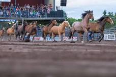 Festival Country St-Antonin