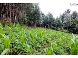 Units in ruiru presidential escort camp Kk Realtors Hot Hot Hot Property Enticing Quarter Acre Facebook