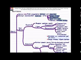 Terima kasih berkongsi nota ni. Biologi Kbsm Tingkatan 4 Bab 9 Ekosistem Terancam Versi Tahun 2020 Litetube