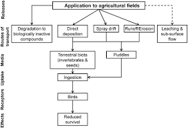 Protect your plants and landscape from damage caused by these pests. Refined Avian Risk Assessment For Chlorpyrifos In The United States Springerlink