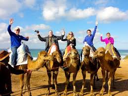 Our camel trek starts from desert hotel and we will ride camels for around 30 minutes to reach the highest dune in merzouga desert. Pin On Europe