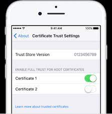 Scroll down and tap on profiles → if you don't find anything, you have nothing to worry. How To Trust Manually Installed Root Certificates In Ios 10 3