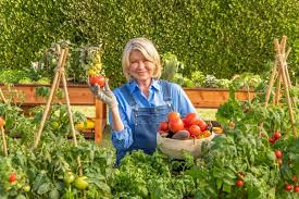 We did not find results for: Scotts Miracle Gro Taps Martha Stewart And John Travolta For Super Bowl Commercial Ad Age