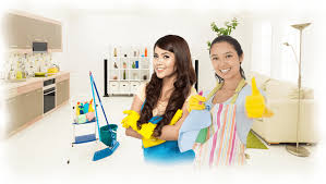 The prime minister najib razak announced in budget 2018 that in 2018, the hiring of foreign domestic helpers can be done directly from nine selected countries without going through an agent. What Are The Pro S And Con S Of Using Maid Agency In 2020