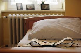 Menschen, allein durch das geringe hindernis von bettgittern gezwungen, im bett zu verbleiben und gegebenenfalls hilfe zu erbeten. Verfassungsgericht Ruffelt Baden Wurttemberg Gefesselte Patienten Urteil Fuhrt Zu Justiz Uberlastung Politik Stuttgarter Nachrichten