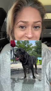 UPDATES: Sugar, Riley, Roux