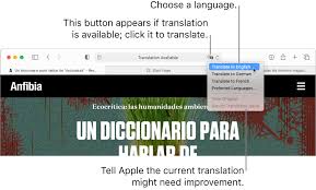 A word or phrase that is commonly used in conversational speech (e.g. Translate A Webpage In Safari On Mac Beta Apple Support