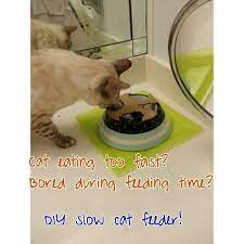 Make Your Own Interactive Cat Feeder An Almost Free Approach To Expensive Slow Feeder Bowls Interactive Ca What Cats Can Eat Bengal Cat Siberian Cats For Sale