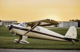 Samuel Daigle Archives