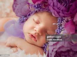 3.153 Jane Blume Stock Photos, High-Res Pictures, and Images