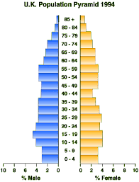 Types of population pyramids and what they mean. Population Structure Annotated Population Pyramids