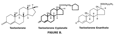 hudsons guide testosterone types and delivery