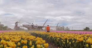 Fast movie loading speed at fmovies.movie. Image Engine Swings Into Action With Spider Man Far From Home Vfx Animation World Network
