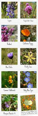 2,219 likes · 59 talking about this. Pin On Backpacking Hiking Outdoor Gear