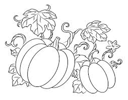 Calabazas para hacer cabello de ángel. 43 733 Calabaza Dibujo Imagenes Y Fotos 123rf