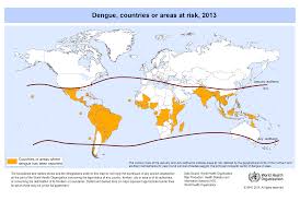Das virus war offenbar aus kamerun eingeschleppt. Zika Virus Outbreak Denguefieber Von Biologischer Waffe Zu Einer Weltweiten Pandemie Netzfrauen Netzfrauen
