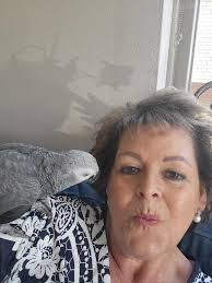 Kevin Kusek's Instagram, Twitter & Facebook