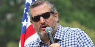 Ted Cruz touts endorsement from Houston Democrat in bid for crossover votes 