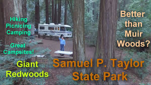 There are 5 identical cabins (2 of which appear to be exclusively for handicap users). Better Than Muir Woods Samuel P Taylor State Park Youtube