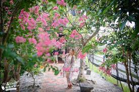 宜蘭包棟民宿推薦 竹苑民宿 一泊一食 可烤肉 天空步道 鄉村復古風 感受最純樸的田園風光 滿分的旅遊札記 plants grapes