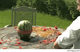 We did not find results for: Rubber Bands Around A Watermelon Meme Guy