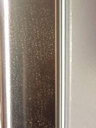 Stainless steel is a slightly misleading name. Rust On New Stainless Steel Appliances P4