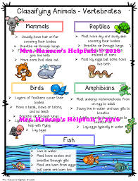 Pin On Fun School Ideas