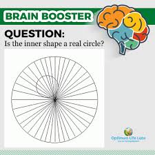 Maybe you would like to learn more about one of these? Brain Boosting Challenge Is The Inner Shape A Real Circle Hint Sometimes Extraneous Information Around Piece Of Paper This Or That Questions Brain Booster